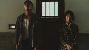 大濛 — foto 5