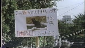 襲られた女 — foto 5