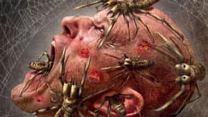 Camel Spiders — foto 6