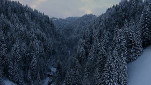Köhlernächte — foto 1