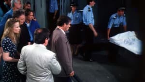 Episodio 9