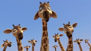 Zambezia — foto 11