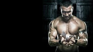 WWE No Mercy 2007 — foto 1