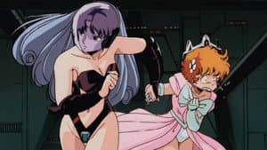 プロジェクトA子 — foto 6