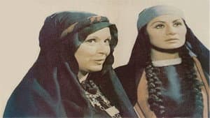القادسية — foto 2