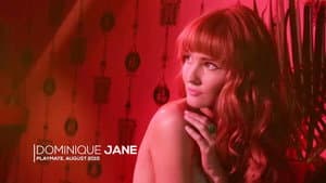 Bunny Gallery — foto 3