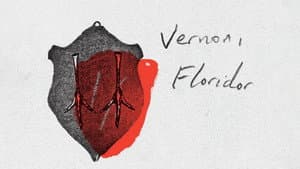 Vernon, Florida — foto 3