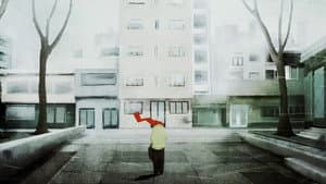 Irma — foto 1