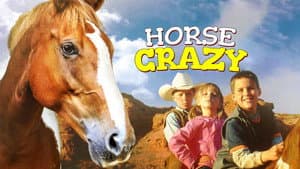Horse Crazy — foto 1