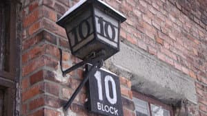 Medizinversuche in Auschwitz - Clauberg und die Frauen von Block 10 — foto 1