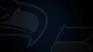 Super Bowl Champions: The 2025 Seattle Seahawks — foto 2