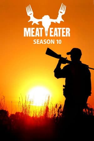 Temporada 10