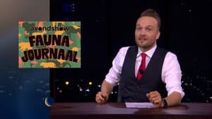 Episodio 8
