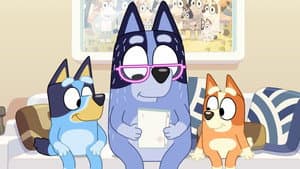 Pequeñas historias de Bluey — foto 7