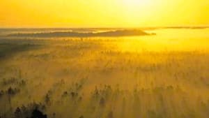 Skrydis per Lietuvą arba 510 sekundžių tylos — foto 1