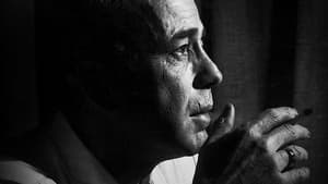 The Rules of Film Noir — foto 1