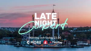 Late Night Concert — foto 1