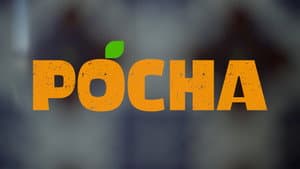 Pocha — foto 1