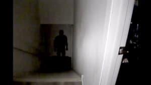 Tapeface — foto 3
