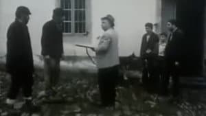 O cadaleito — foto 1