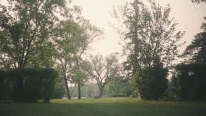 To All That We Are — foto 2