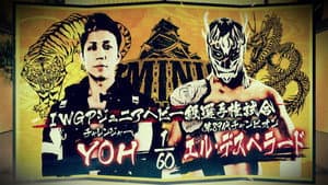 NJPW Dominion 6.6 in Osaka-jo Hall — foto 4
