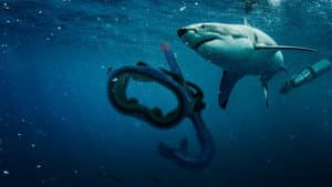 Saved From a Shark — foto 9