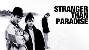 Stranger Than Paradise — foto 1