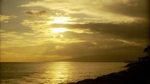 Pearl Harbor: 24 Hours After — foto 1