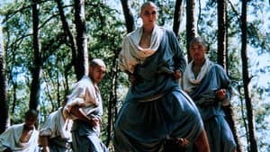 American Shaolin — foto 4