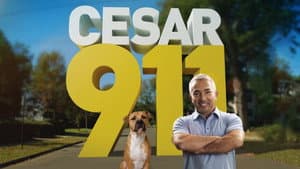Cesar 911 — foto 1