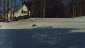 The Animal — foto 11