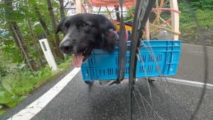 Alpine Trilogy - Doggystyle — foto 3