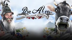 Die Alm - Promischweiß und Edelweiß — foto 1