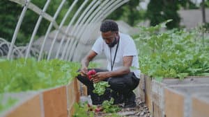 Grow a Better Dallas — foto 10