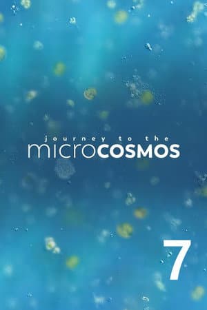 Temporada 7