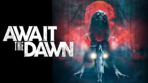 Await the Dawn — foto 8