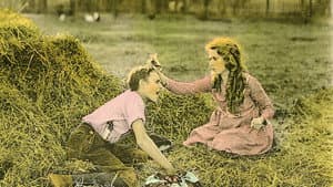 Pollyanna — foto 1