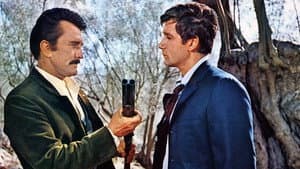 Los hermanos sicilianos — foto 11
