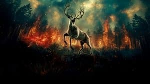 La estimacion de Bambi — foto 1