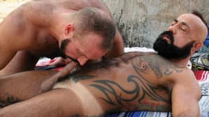 Balls to the Wall Breeding — foto 3