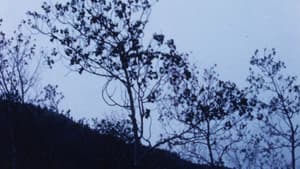 Chant — foto 2