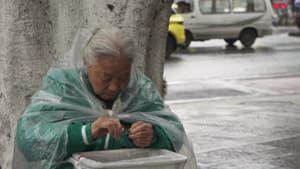 Χαμένες Γαρδένιες — foto 1