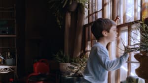 Homesick — foto 1