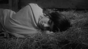 Cabra y Madre — foto 3