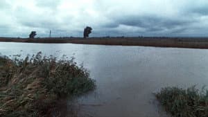 Dostoyevsky — foto 10
