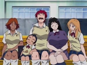 Episodio 26