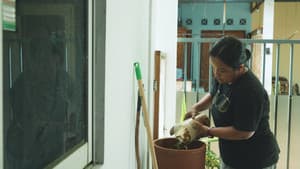 Kiamat Sampah — foto 2