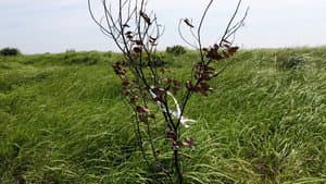 비념 — foto 4