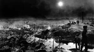 Moonface: una mujer en la guerra — foto 4